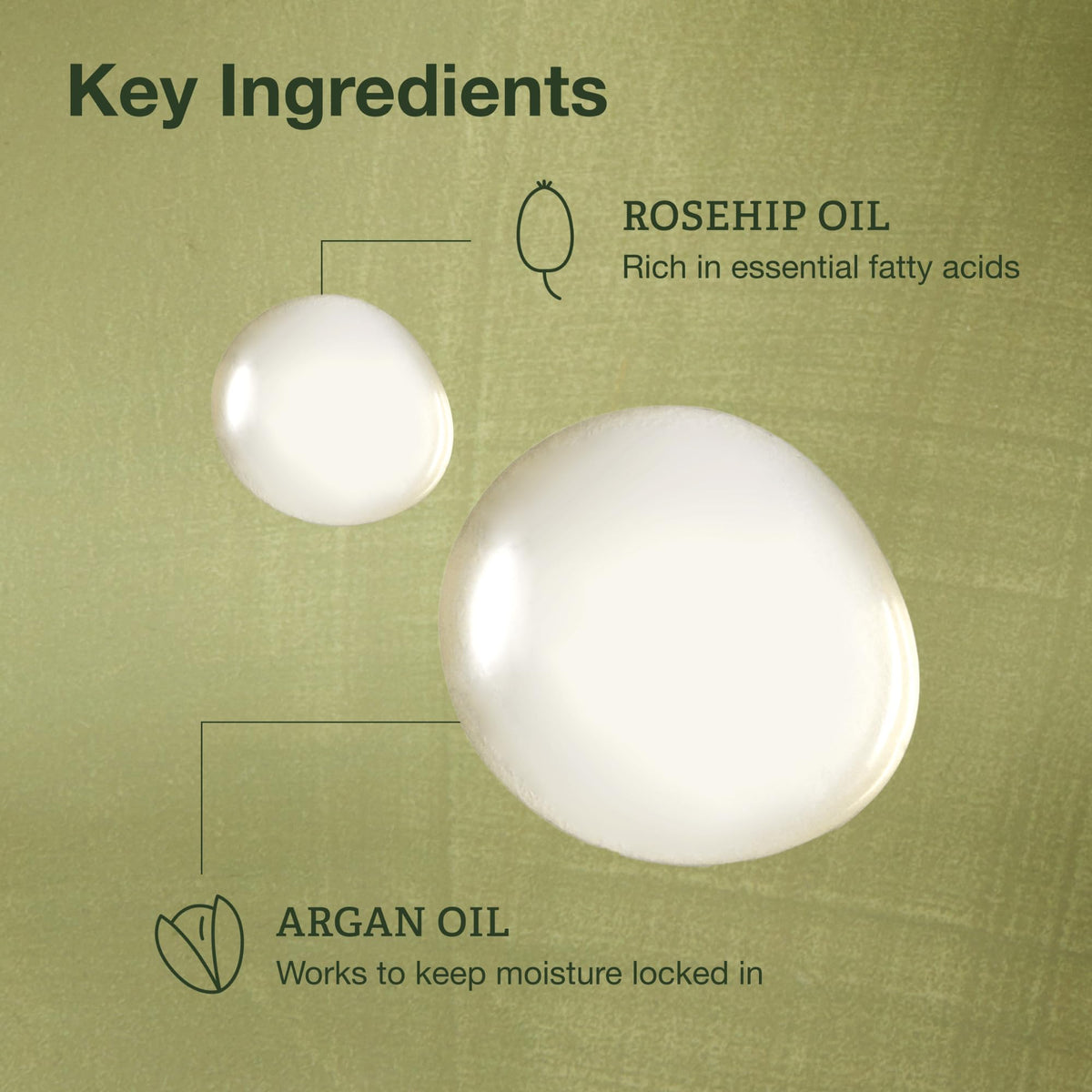 Botanics argan and rosehip oils flatlay showing natural ingredient sources