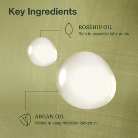 Botanics argan and rosehip oils flatlay showing natural ingredient sources