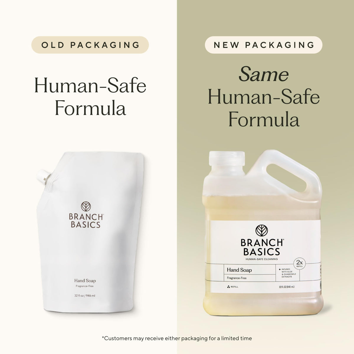 Branch Basics pouch pouring into glass pump bottle, refill reduces waste