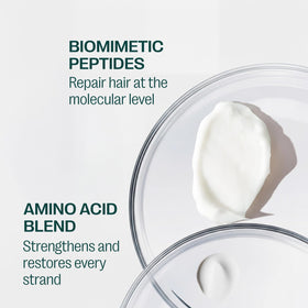 BRAZIL EDITION murumuru butter and babassu visual highlighting deep conditioning benefit