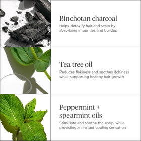 Briogeo binchotan charcoal close-up illustrating detoxifying action
