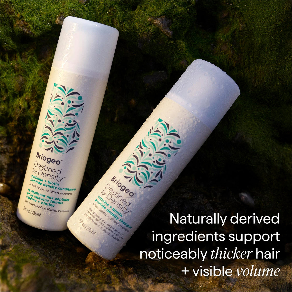 Briogeo ingredient focus with biotin and caffeine visuals highlighting nourishing actives