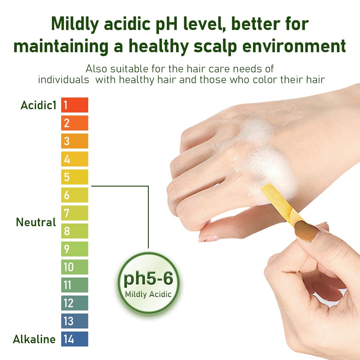 BSAPY label and ingredient panel clear view for informed choice