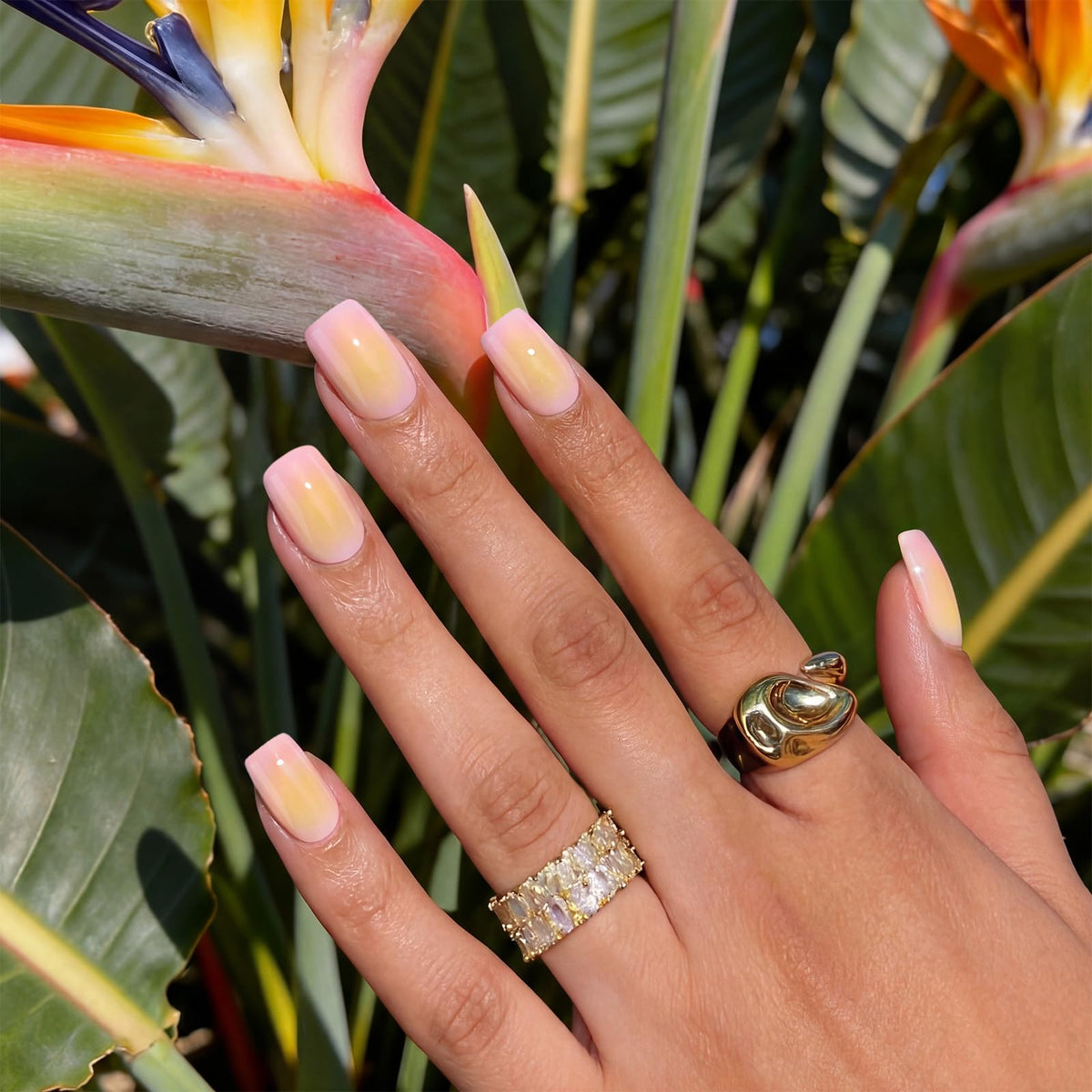 BTArtbox nails in hand to show short square scale and comfortable everyday wear