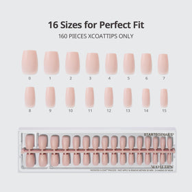 BTArtboxnails nails with application tools illustrating quick application