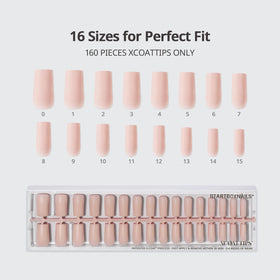 BTArtboxnails size chart with 16 sizes for perfect fit