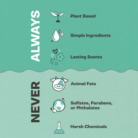 Buff City Soap ingredients label showing plant-based formulation benefits