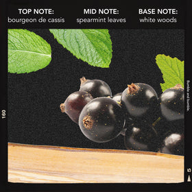 Bumble and bumble label closeup highlighting fragrance notes and product purpose
