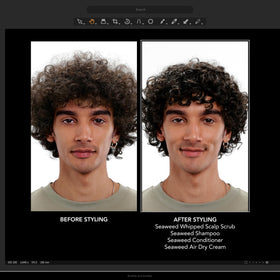 Closeup of kelp ingredient representing Bumble and bumble nourishing marine extracts