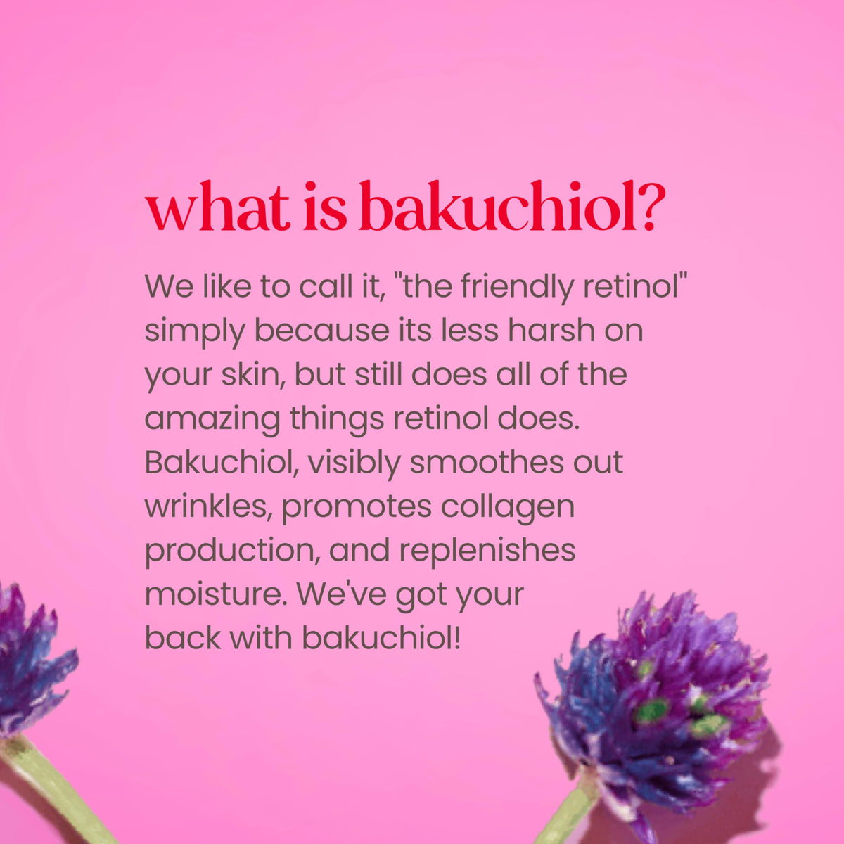 Bakuchiol ingredient graphic with Burt's Bees emphasizing plant-based retinol alternative