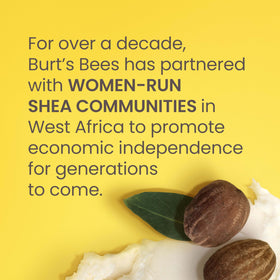 Burt's Bees close-up of shea and mango butter swirl highlighting rich nourishment