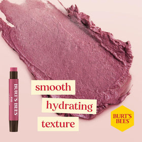 Burt's Bees hand cream tube detail showing quick-absorbing moisture benefit