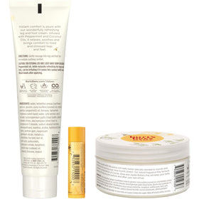 Burt's Bees natural ingredients display with cocoa and shea butters