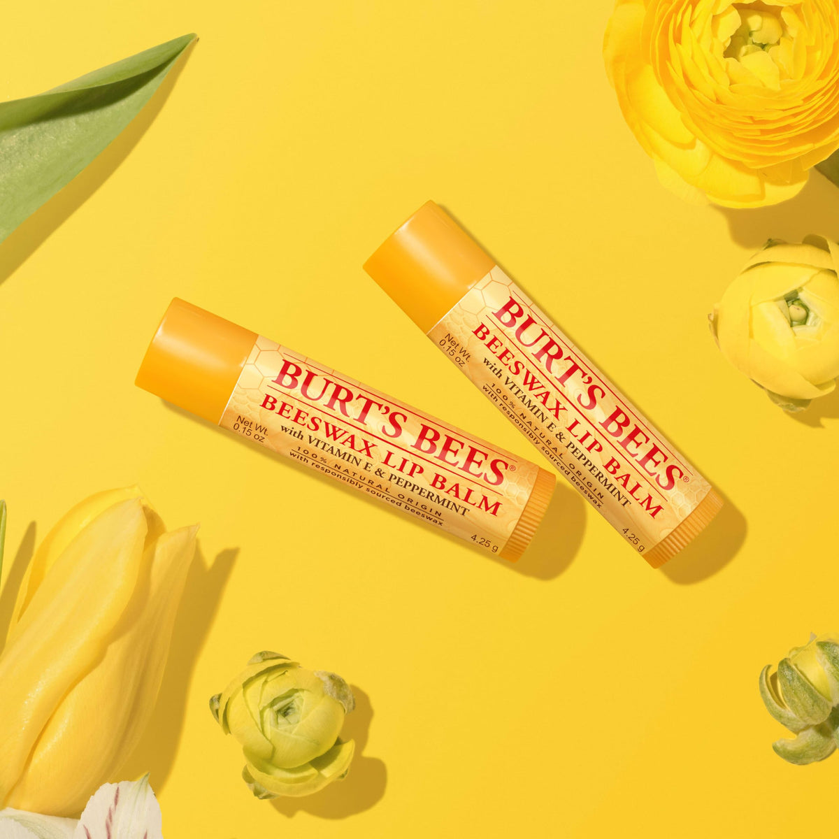 Burt's Bees on desk with school supplies for convenient classroom use