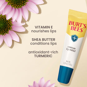 Burt's Bees tube held in hand to show compact 0.35 oz practical size