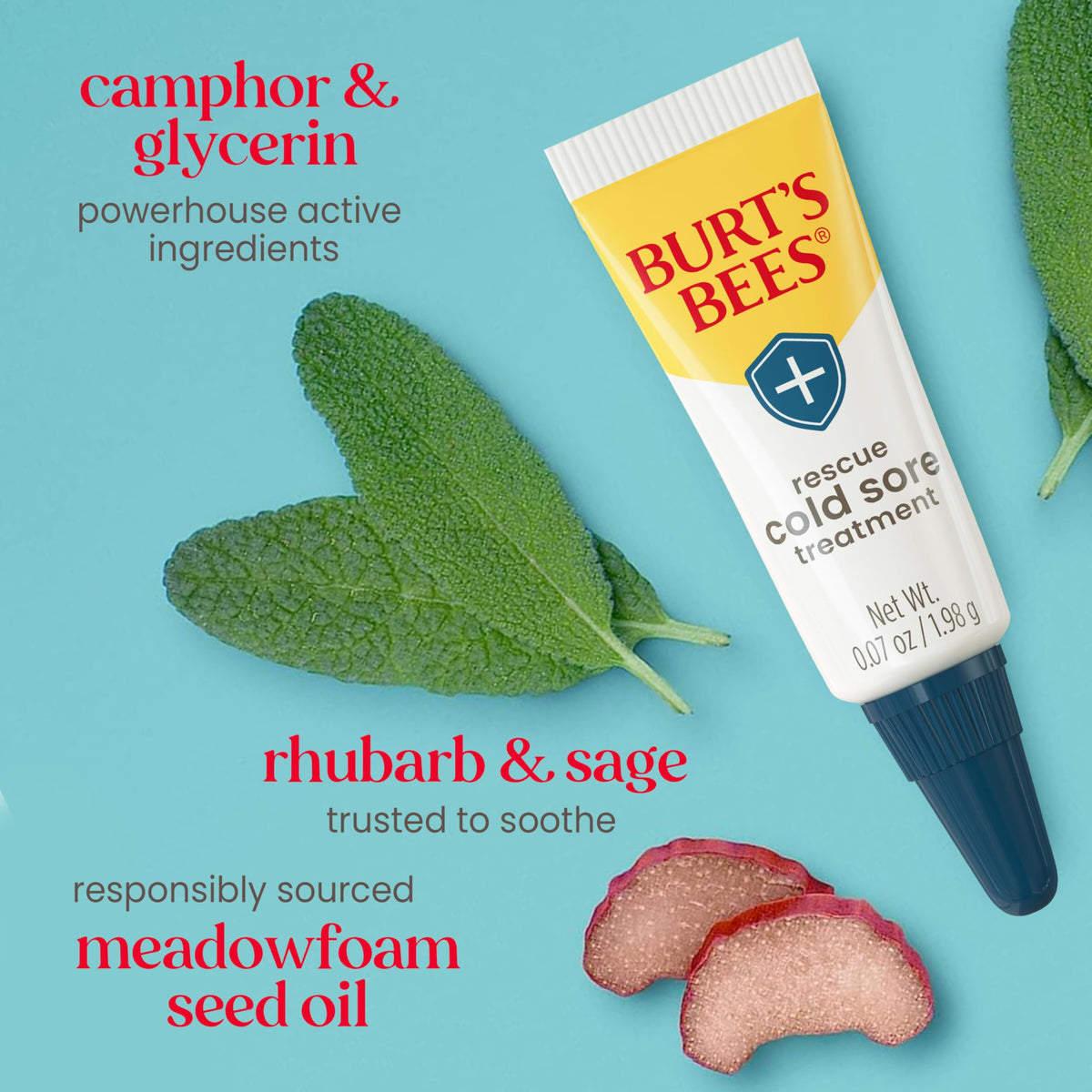 Burt's Bees cold sore treatment tube close-up highlighting applicator and label