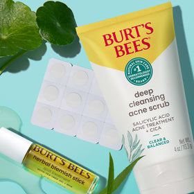 Burt's Bees two-pack flat lay beside toiletries for convenient backups