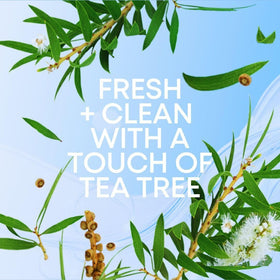 Bushbalm oil alongside scrub showing routine pairing for smoother skin