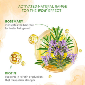 BUYWOW rosemary sprig beside bottle showing botanical focus