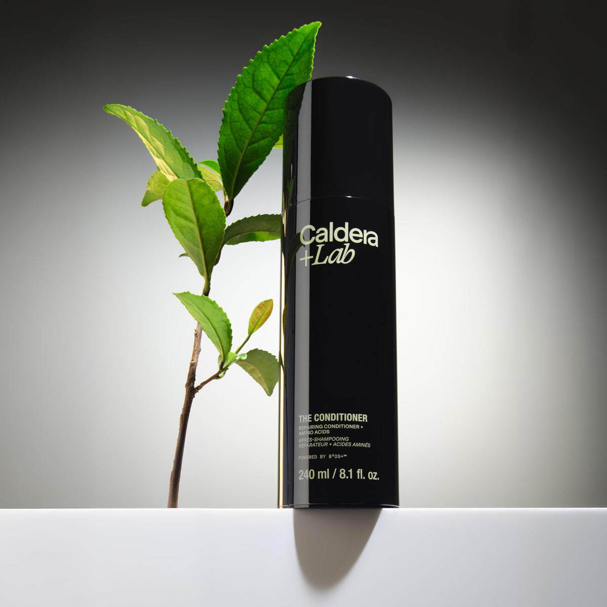 Caldera + Lab conditioner in hand being applied to hair for easy one-minute routine benefit