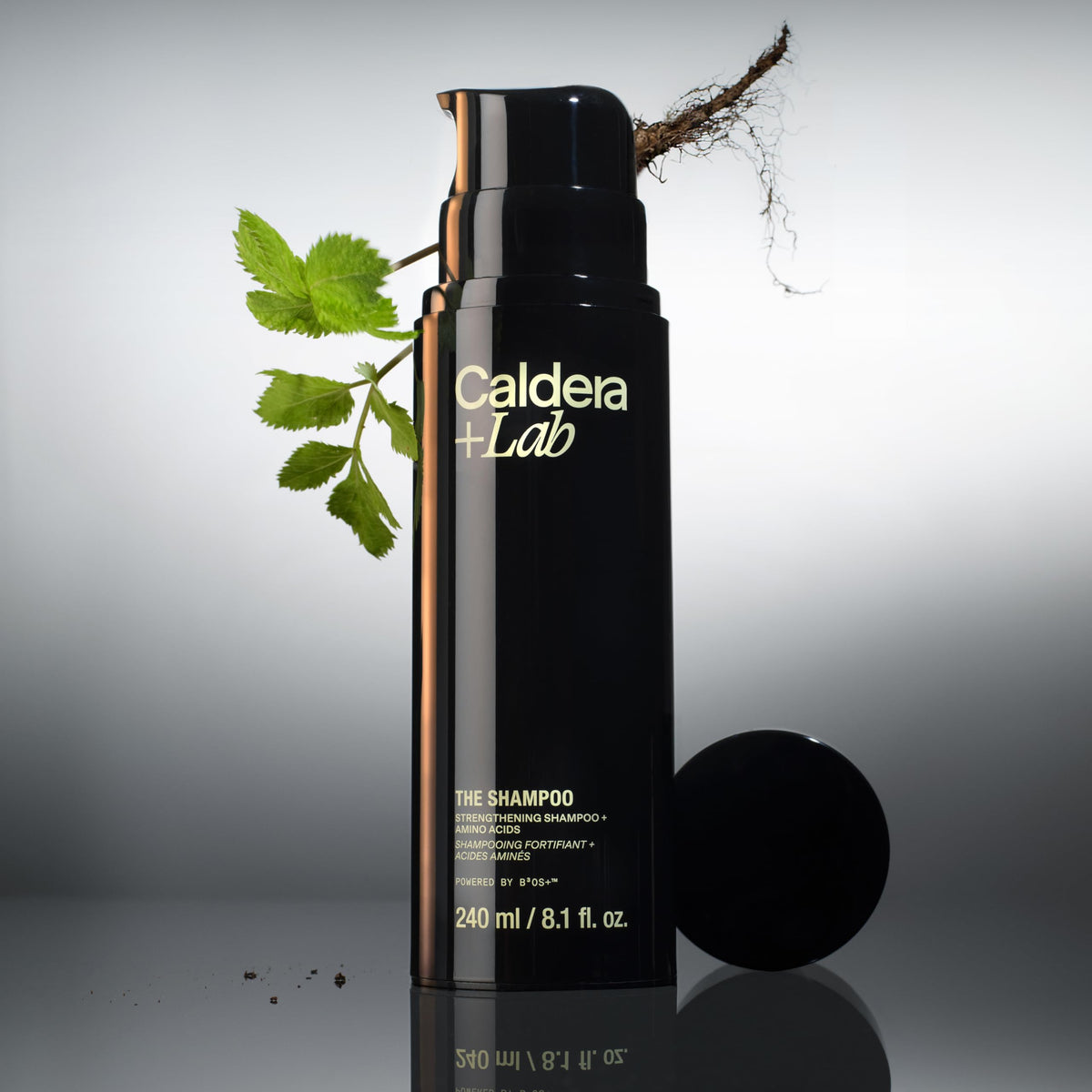 Caldera + Lab pump dispensing shampoo for easy daily use