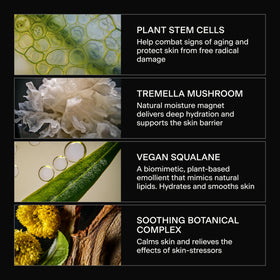 Caldera + Lab botanical ingredient flatlay showing plant extracts and antioxidant benefits