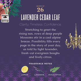 Caldrea lather on hands illustrating gentle cleansing and moisturized feel