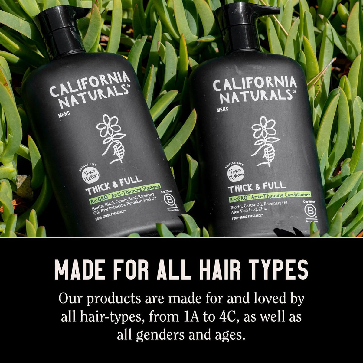 California Naturals ingredient flatlay featuring rosemary and oils