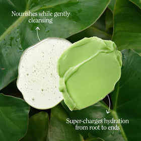 California Naturals shampoo bottle close-up label highlighting natural, sulfate-free formula