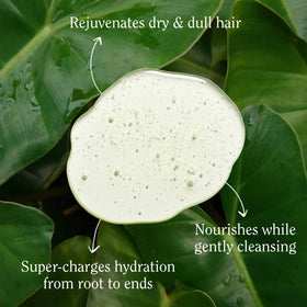 California Naturals shampoo texture pouring to show lightweight hydration