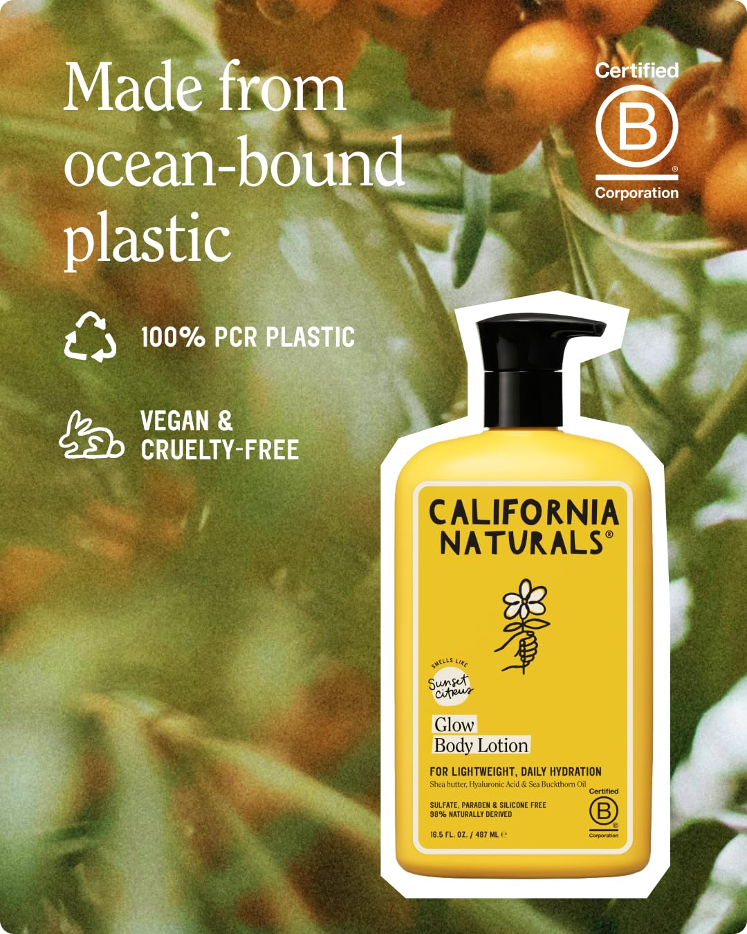 California Naturals bottle beside common items for scale, illustrating 16.5 oz generous supply and value