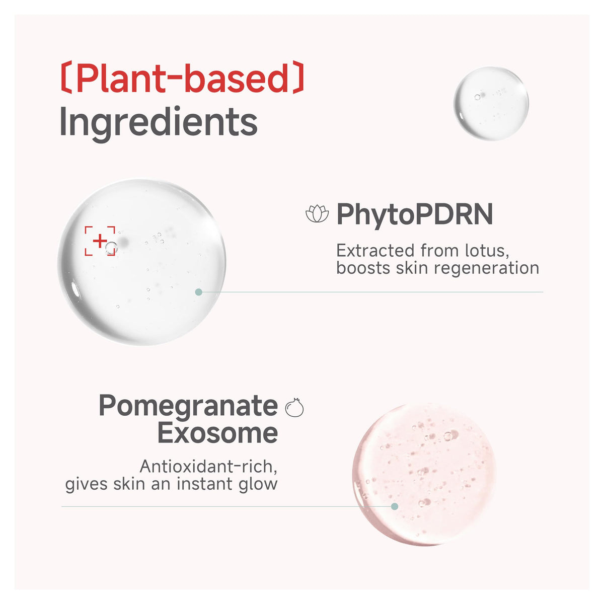 CANDORLOV ingredient display with plant extracts showing natural support