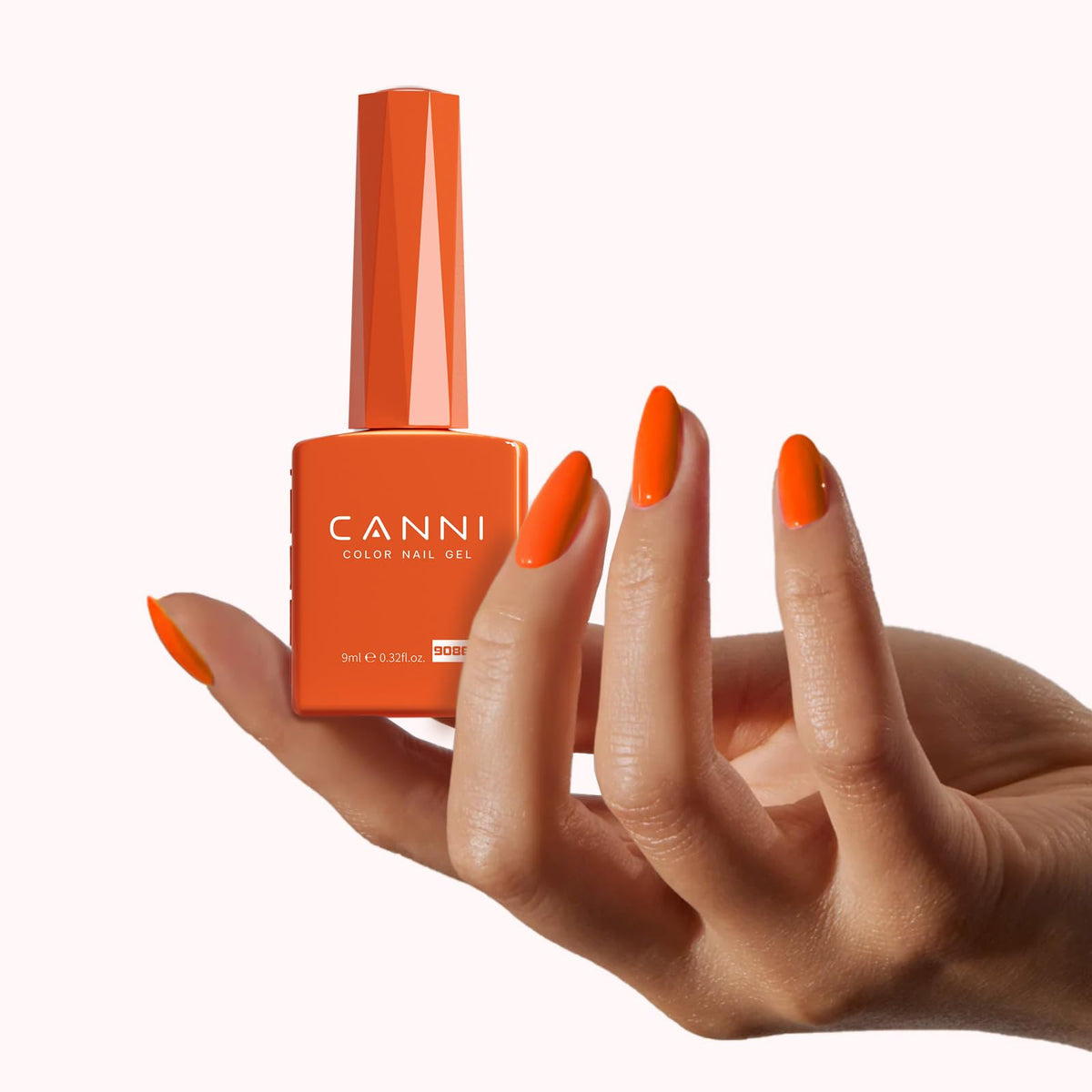 CANNI swatch strip displaying all six autumn shades for color planning benefit