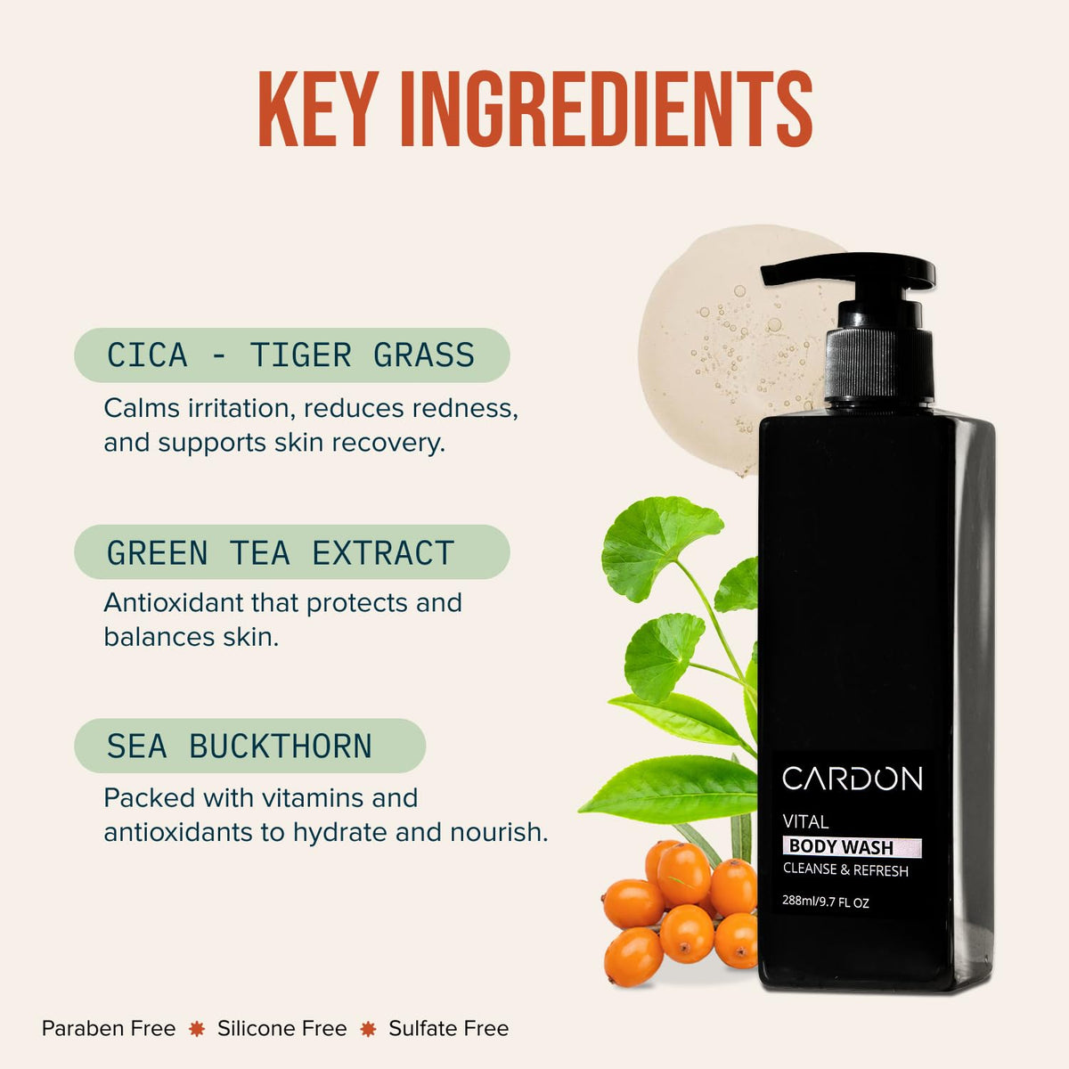 Cardon green tea ingredient visual highlighting antioxidant benefit