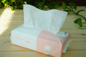 careboree travel bag ready indicating portable pack for outings and emergencies