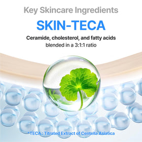 CENTELLIAN 24 ingredient layout with Skin TECA and Centella PDRN benefits