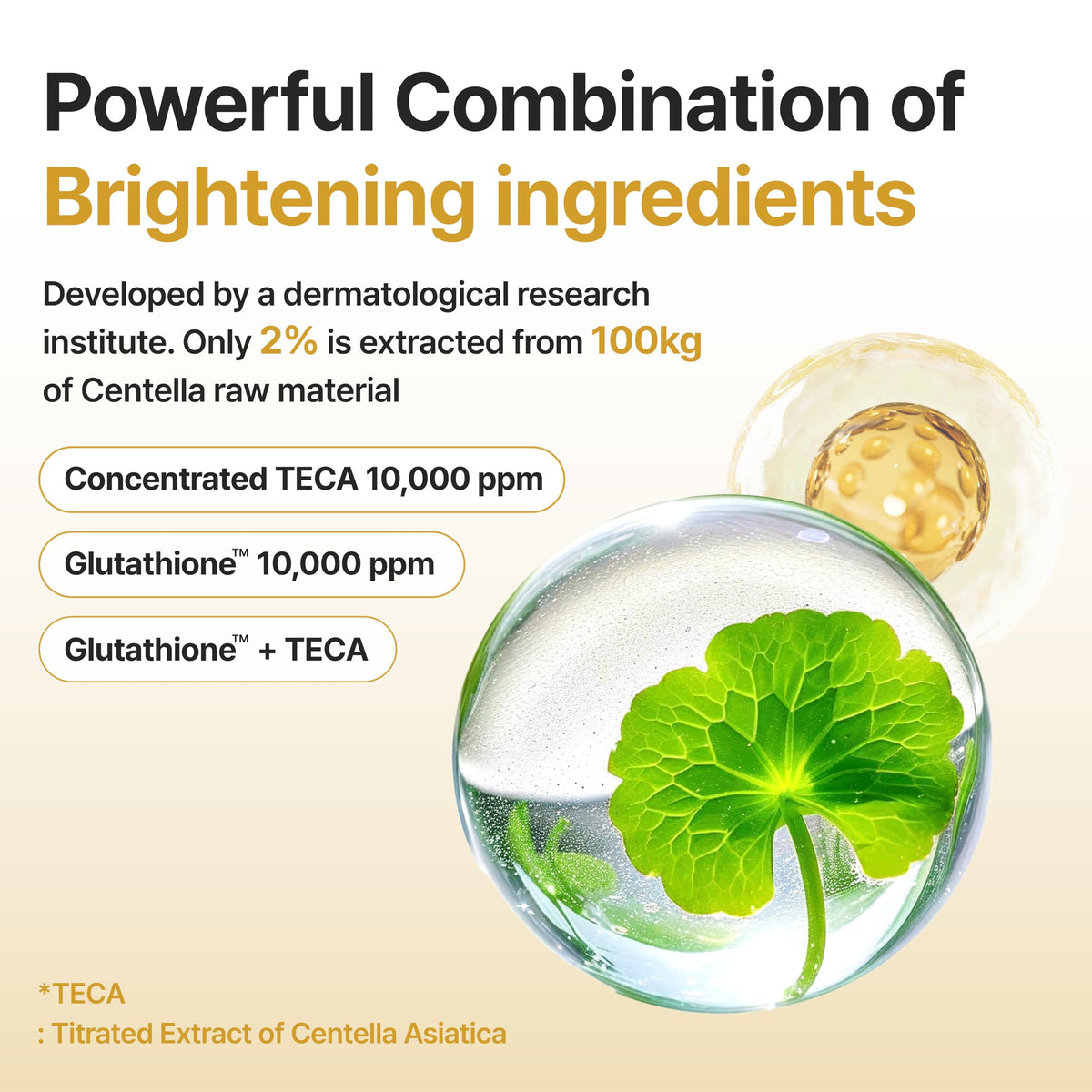 CENTELLIAN 24 bottle beside centella leaves to emphasize botanical TECA benefits