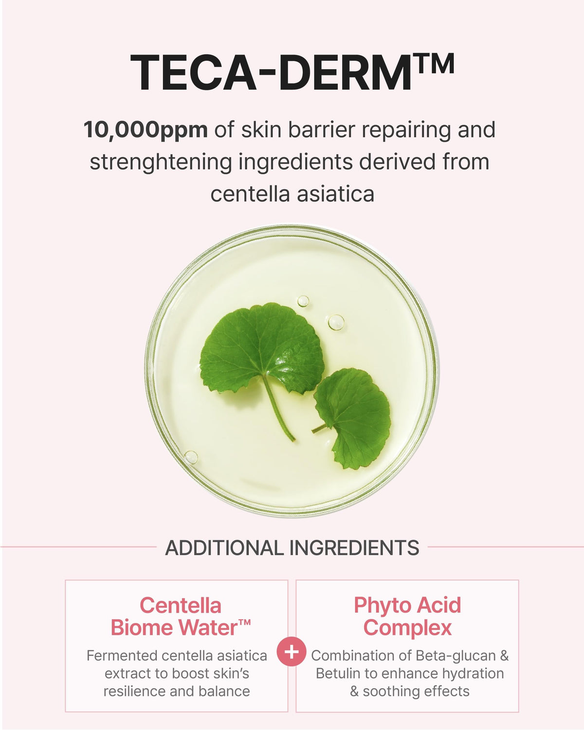 CENTELLIAN 24 toner beside moisturizer showing layering and prep benefit
