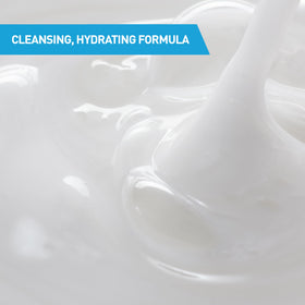 CeraVe ingredient panel focusing on ceramides and niacinamide for barrier support