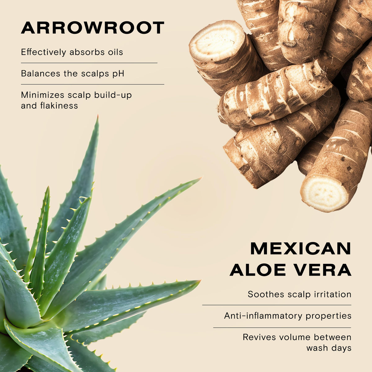 Ceremonia before and after roots comparison illustrating cleaner, fuller-looking hair