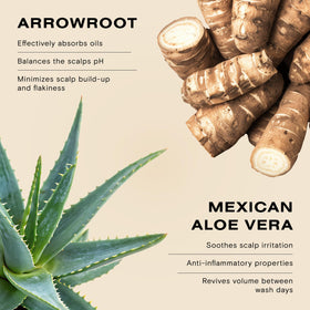 Ceremonia before and after roots comparison illustrating cleaner, fuller-looking hair