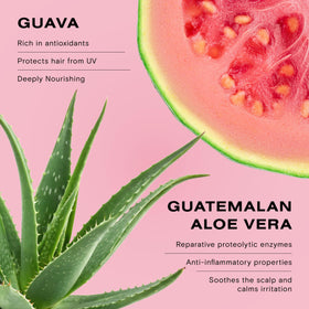 Ceremonia close-up of guava and aloe illustrating natural extracts and soothing benefits