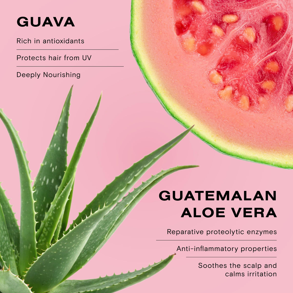 Ceremonia label ingredients highlighting guava and aloe benefits and clean formula
