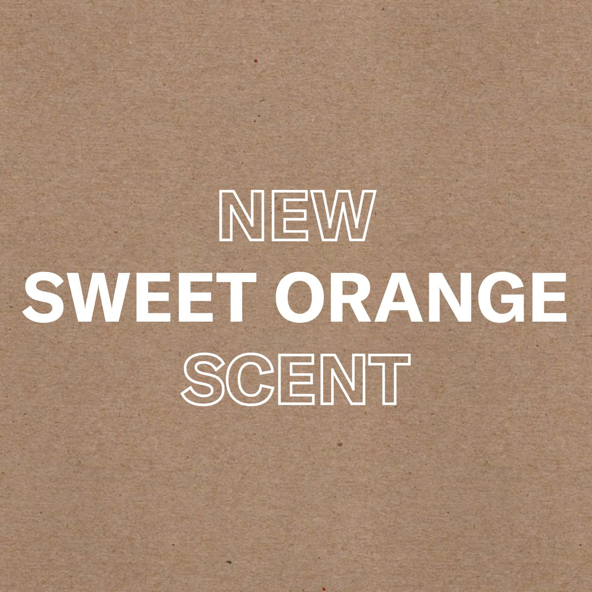 Chocolate Sun creamy texture close-up highlighting smooth blend and hydration
