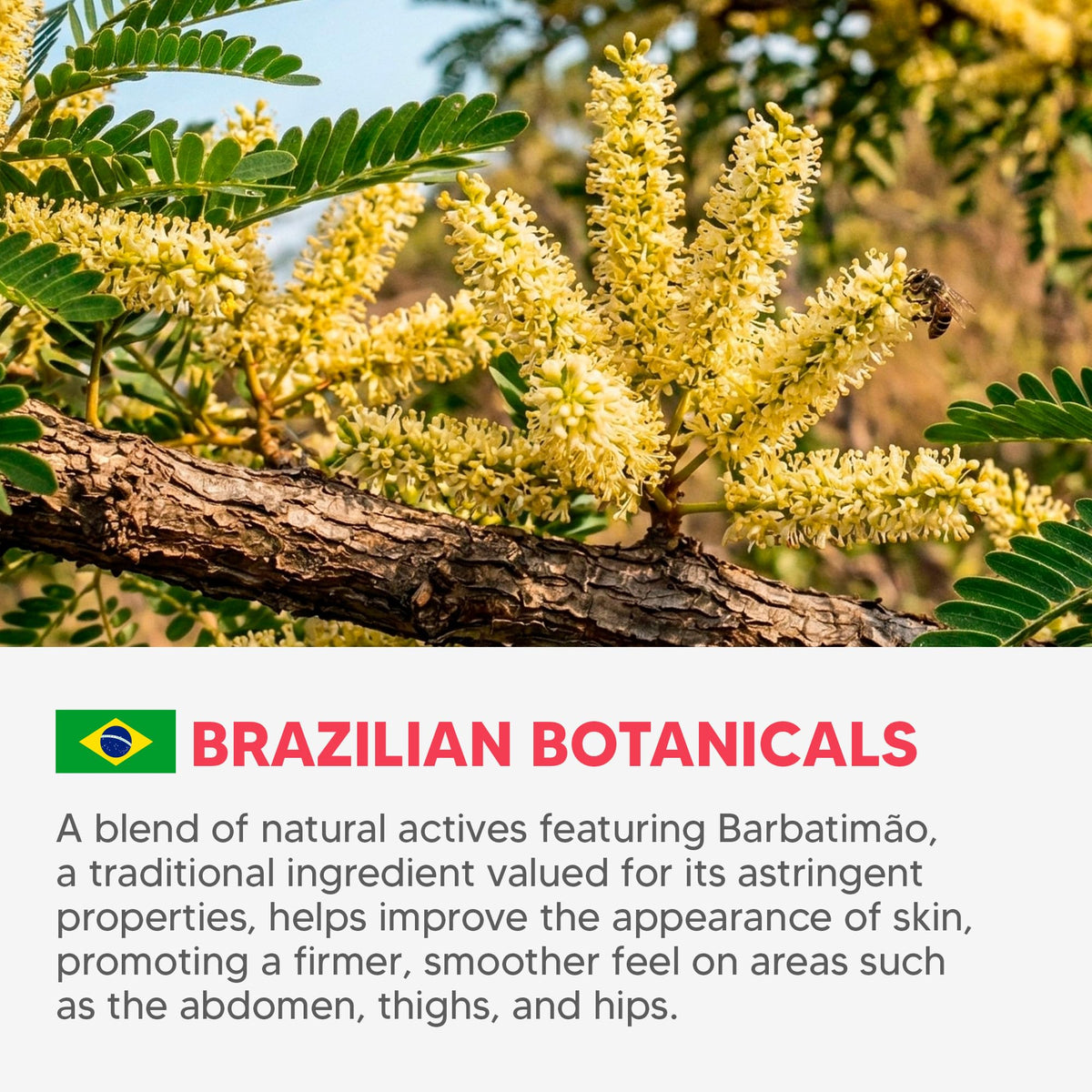 Cicatrissim botanical ingredients with barbatimão showcasing natural support