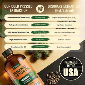 Cimouy cold-pressed castor seeds and oil illustrating solvent-free extraction