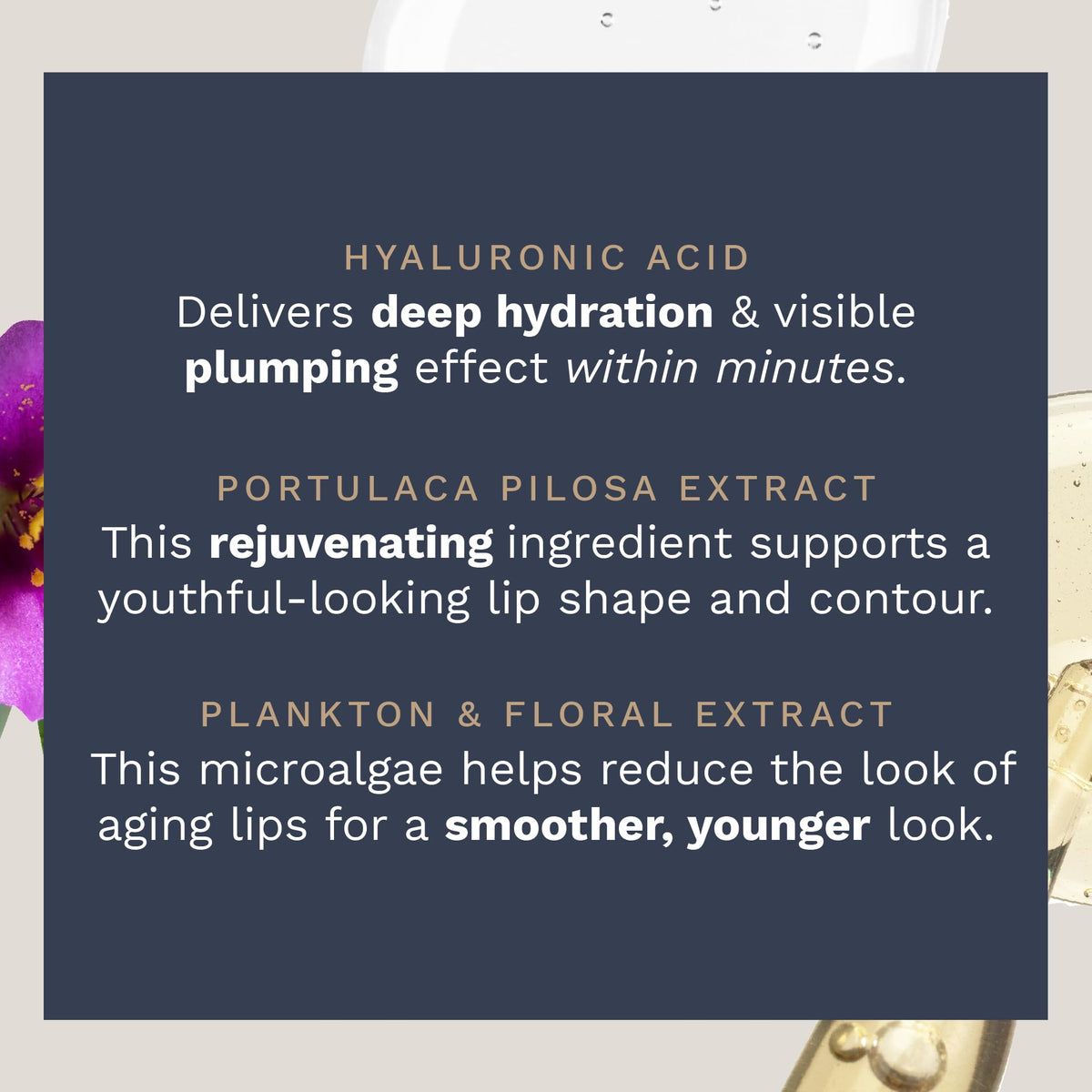 City Beauty City Lips ingredients label close-up showing key actives