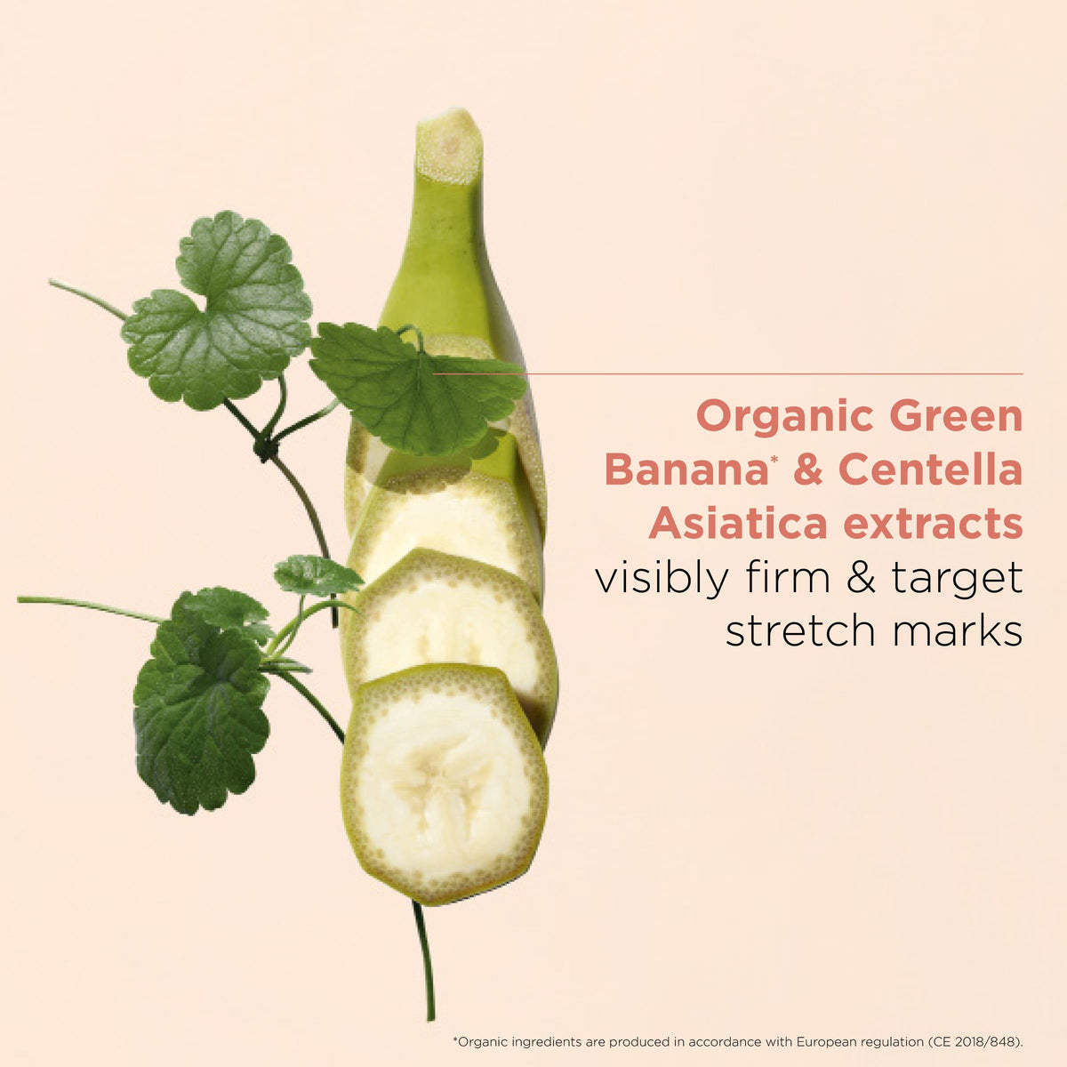Clarins Body Partner tube label detail highlighting minimal ingredients for sensitive skin