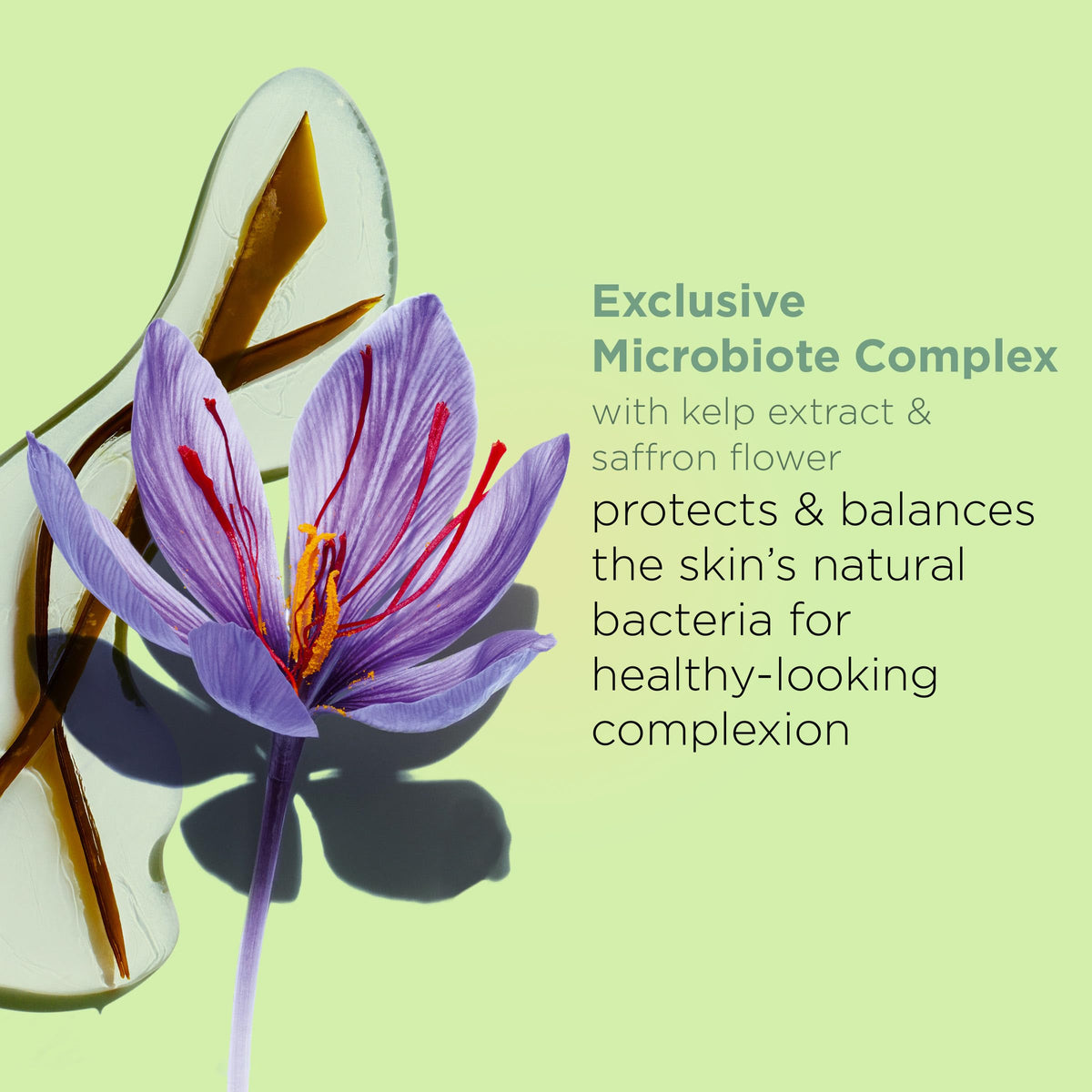 CLARINS bottle label close-up highlighting Witch Hazel and plant-based ingredient transparency