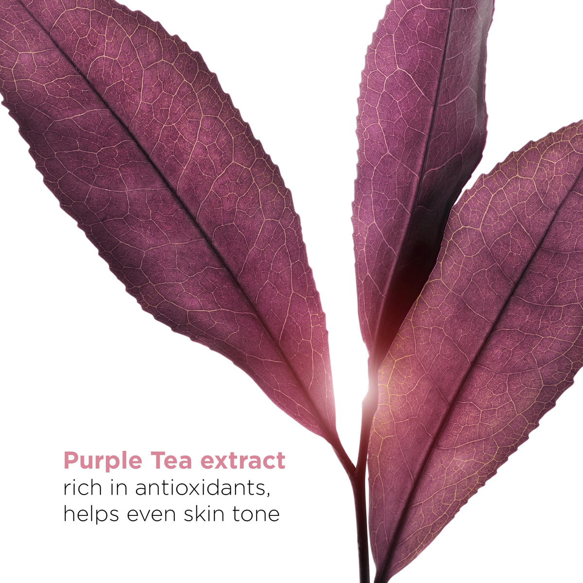 Clarins serum dispensed on hand illustrating spreadable texture